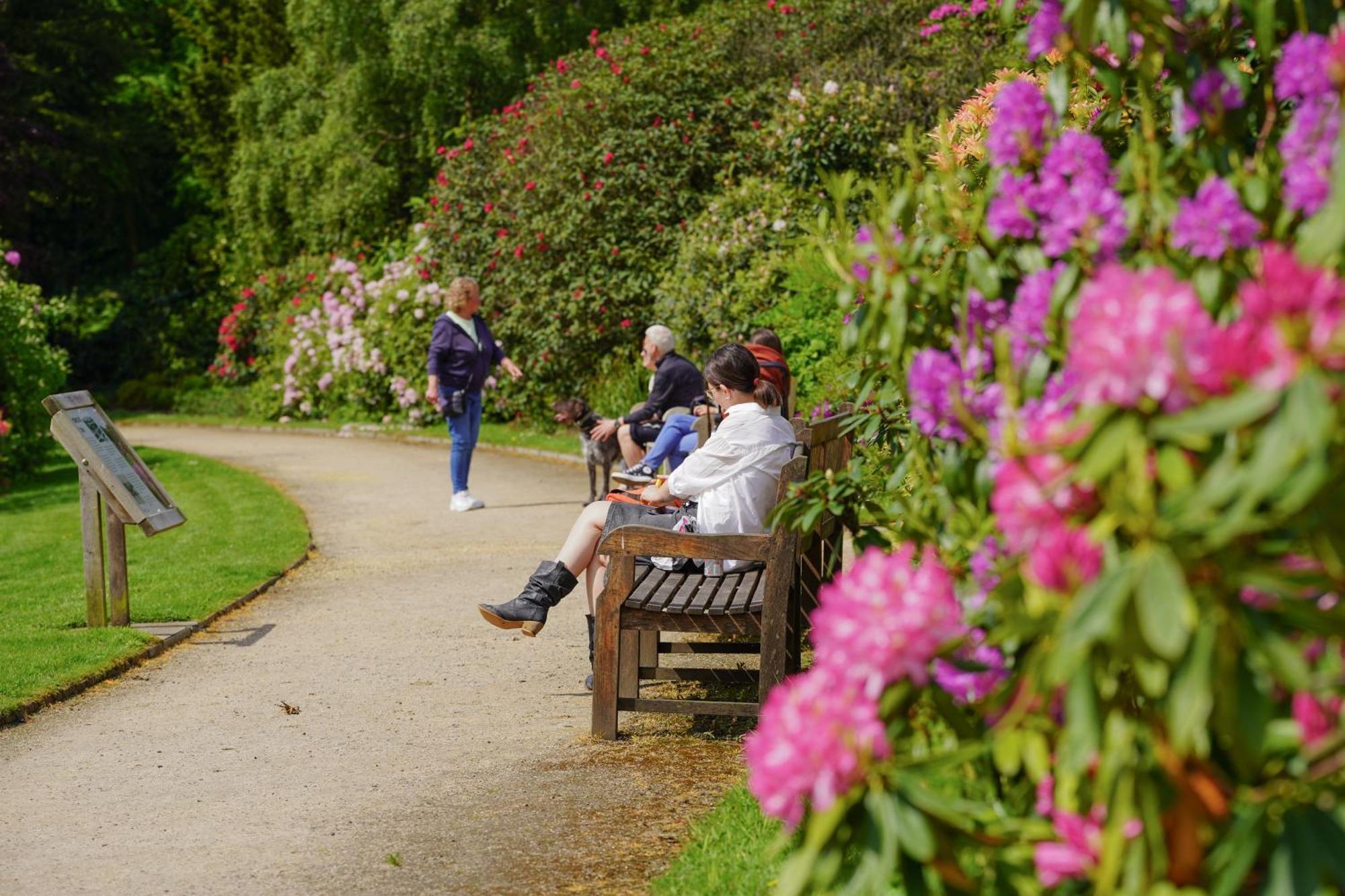 Ushaw Historic House, Chapels & Gardens Bed and Breakfast Durham Buitenkant foto